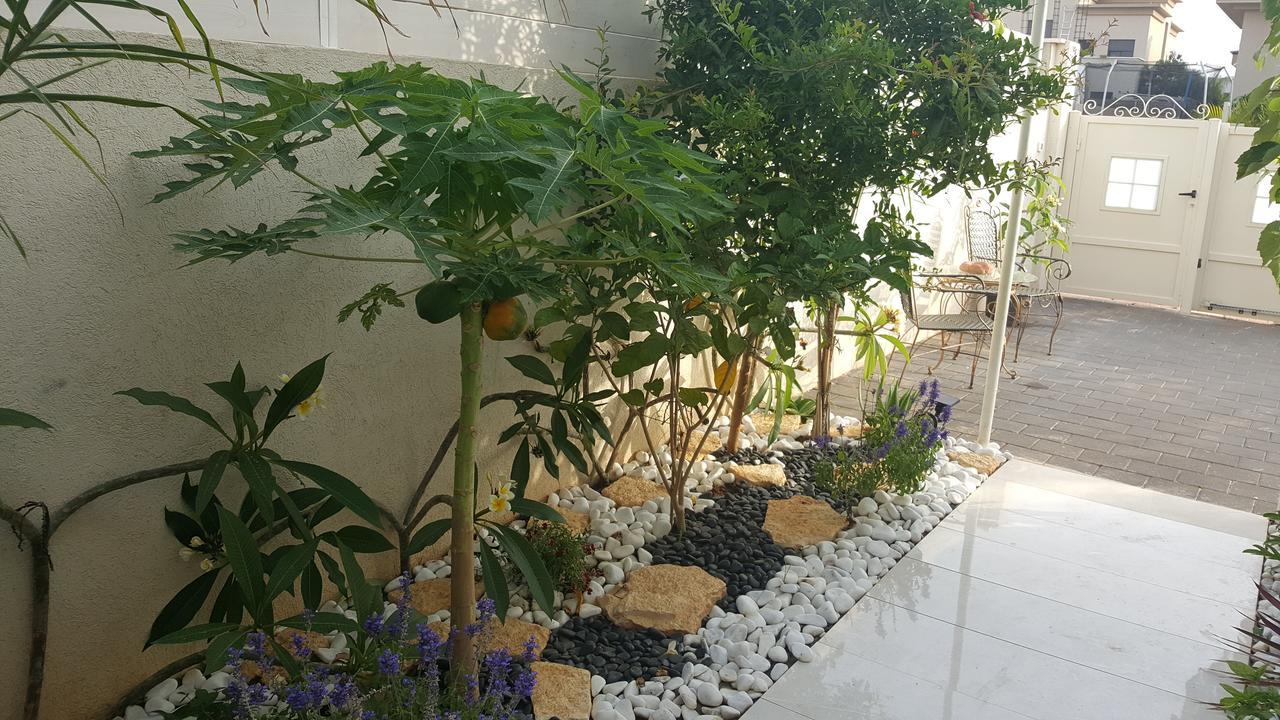 Regina'S Place Or Akiva Экстерьер фото